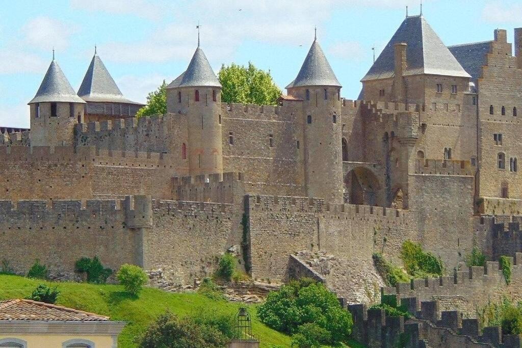 Spacieux Appartement Au Pied De La Cite Medievale Carcassonne Exterior foto